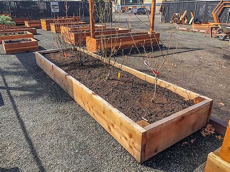 Redwood Planters Raised Garden Beds Redwood Northwest