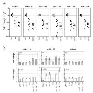 MiR 124 And MiR 137 Inhibit Proliferation Of Glioblastoma Multiforme