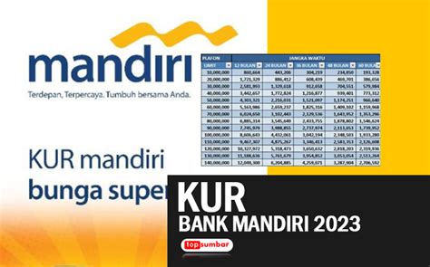 Cara Atasi Pengajuan KUR Mandiri 2023 Yang Ditolak Ternyata Karena 4