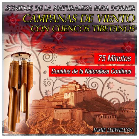 Campanas De Viento Con Cuencos Tibetanos Sonidos De La Naturaleza