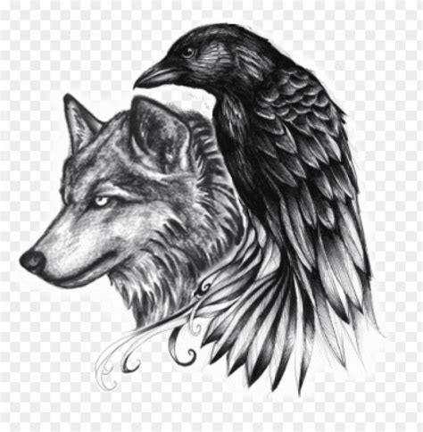 Free download | HD PNG eagle and wolf tattoos png png images wolf raven tattoo PNG transparent ...