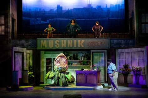 Theater ‘little Shop Of Horrors’ Is Big Fun Little Shop Of Horrors Little Shop Of Horrors