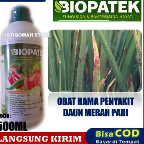 Jual Order Saja Gan Biopatek Fungisida Hayati Obat Penyakit Padi Daun