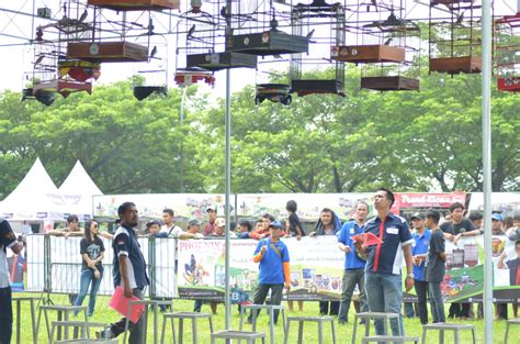 Peringati HUT Ke 10 Tangsel Pemkot Gelar Lomba Burung Berkicau