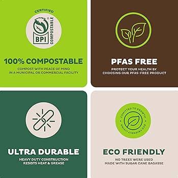 Hooray Mida 100 Compostable Paper Plates 10 Inch Bulk 300 Count