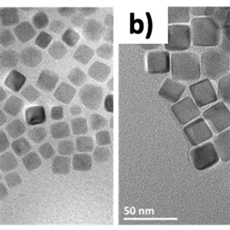 Transmission Electron Microscopy Tem Images Of Nanocubes Synthesized