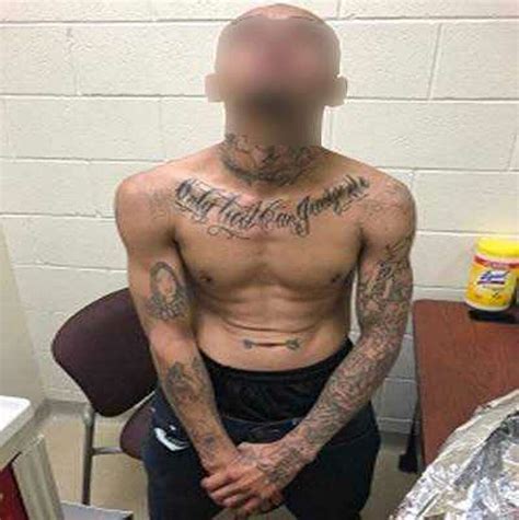 MS 13 Gang Member Arrested Near Hebbronville HoustonChronicle