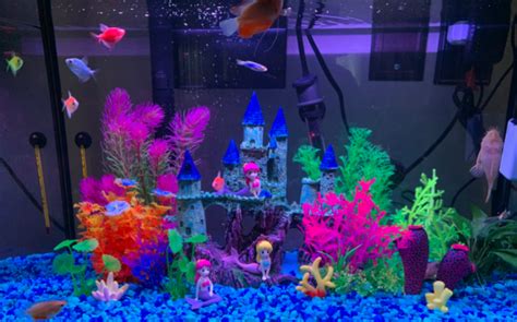 The Best Glofish Tank Decorations Fishtank Expert