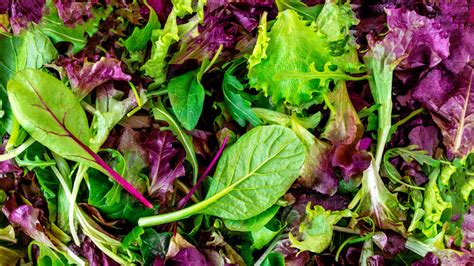 What Is Mesclun Salad Mix And Is It The Same As Spring Mix