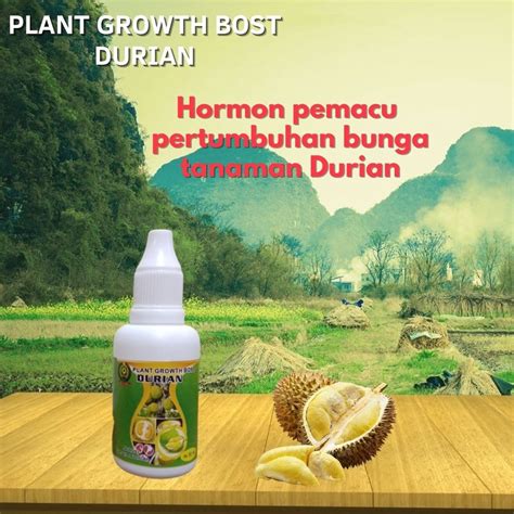 Jual Pupuk Hormon Perangsang Durian Berbuah Agar Durian Cepat Berbuah