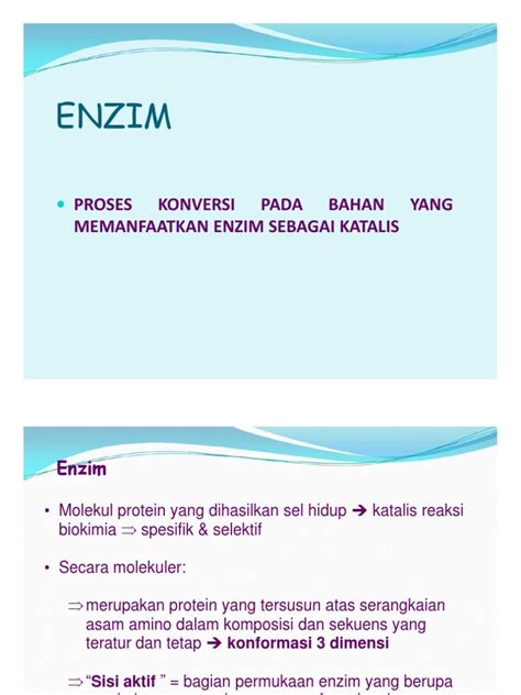 PDF Enzim Sumber Dan Manfaat Compatibility Mode DOKUMEN TIPS