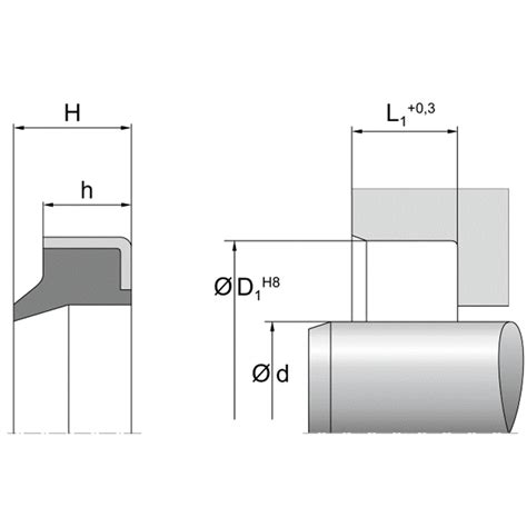 Dichtomatik Abstreifer Am X X Mm Fkm Gottwald