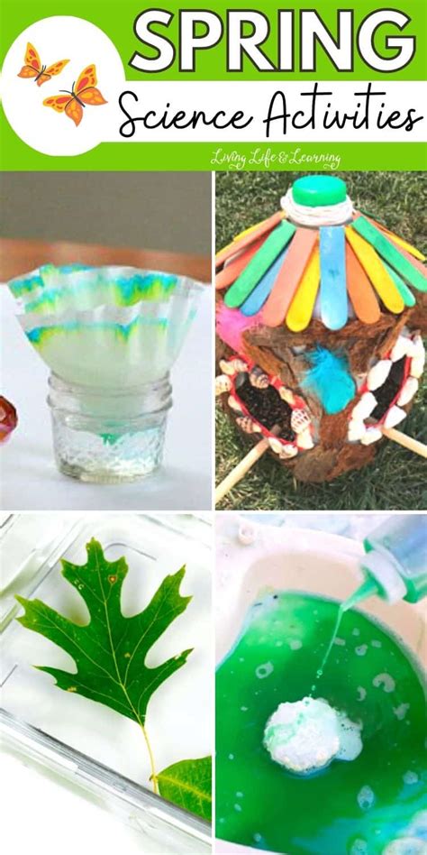 Spring Science Activities Your Kids Will Love
