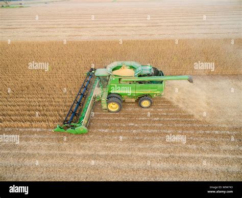 Soybean Harvest John Deere Combine Harvesting Soybeans