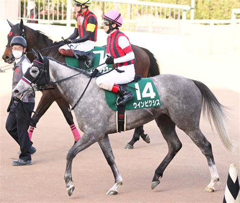 【福島牝馬s】1800メートルで全4勝ウインピクシス 上原博調教師「ハナにはこだわらない」 Umatoku 馬トク