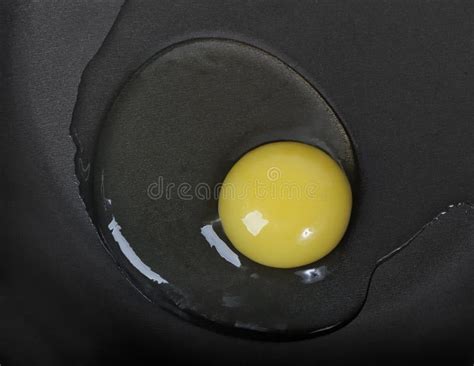 Egg Yolk Stock Image Image Of Protein Nutrient Product 24491119