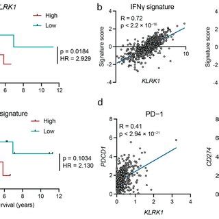 Nkg D Expression Associates With An Ifn Response And The Expression Of