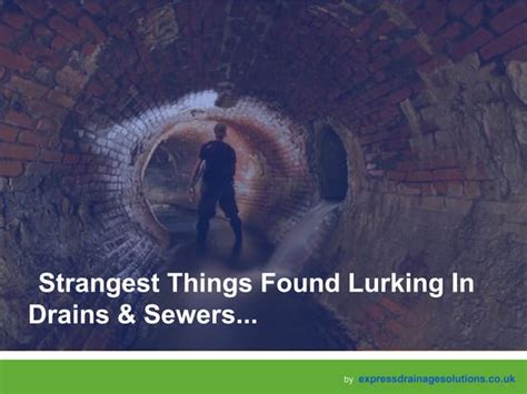 10 Strangest Things Found Lurking In Drains Ppt Free Download