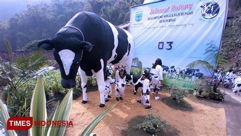 Dinas Pariwisata Kota Batu Sulap Dusun Brau Jadi Wisata Edukasi Susu