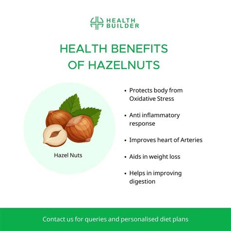 health benefits of hazel nuts | Hazelnut benefits, Healing food, Health