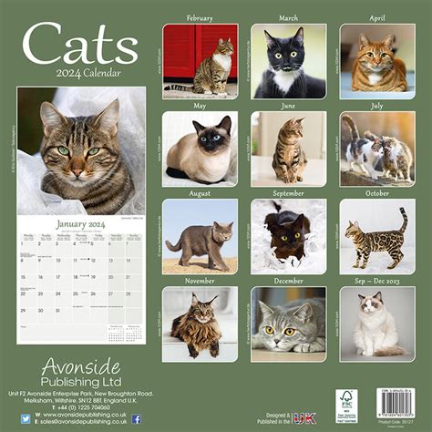 Cat Calendar Irma Rennie