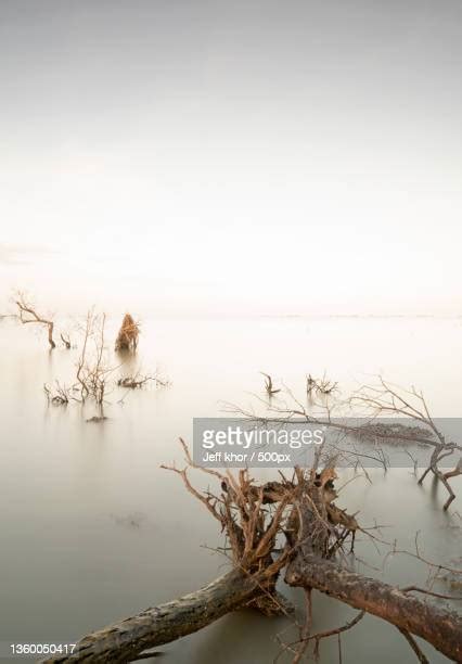 Nibong Tebal Photos and Premium High Res Pictures - Getty Images