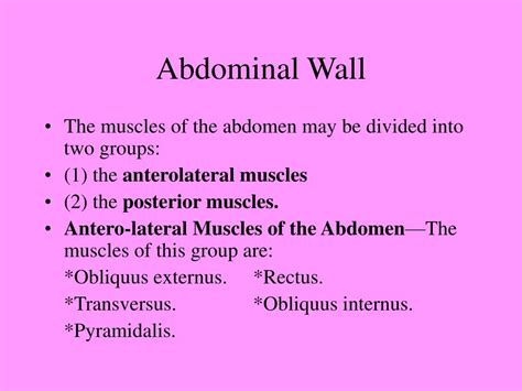 Ppt Abdominal Wall Powerpoint Presentation Free Download Id 5544036