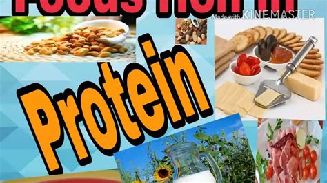 Foods Rich In Protein Source Of Protein High Protein Foods Weight