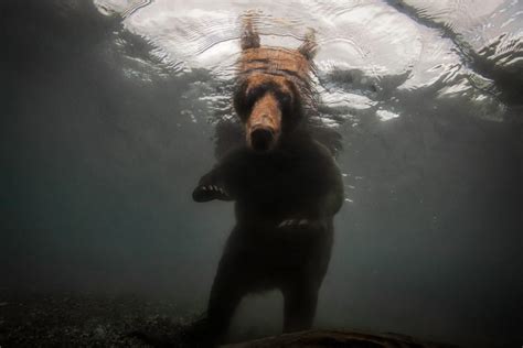 Randy Olson The Photo Society