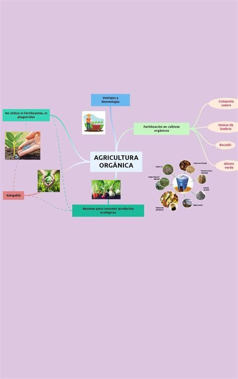 Elabora Un Mapa Conceptual De La Agricultura Orgánica O Ecológica