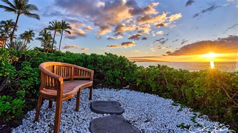 Ławka i palmy na wyspie Maui