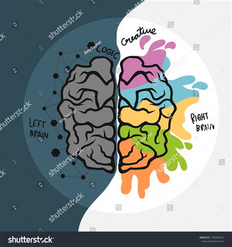 Left Right Brain Cartoon Vector Illustration Stock Vector (Royalty Free ...