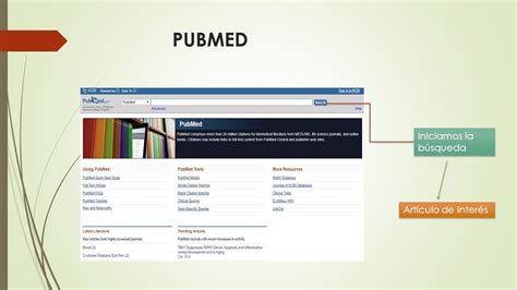 BIOLOGIA MOLECULAR INTRODUCCIÓN PUBMED Iniciamos la búsqueda Articulo