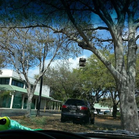 Ozona Elementary School Elementary School In Palm Harbor