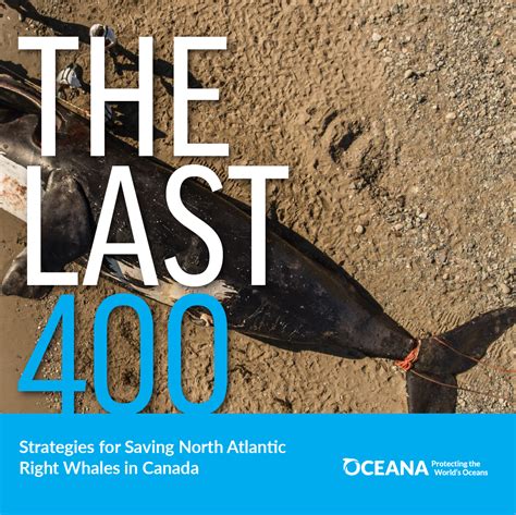 Oceana Launches Campaign In Canada And U S To Save North