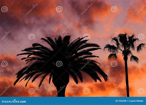 Beverly Hills Sunset Royalty Free Stock Photos - Image: 253228