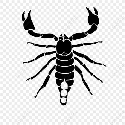 Silhouette Scorpion Clipart Spider Poisonous Tail Whole Body Arthropod