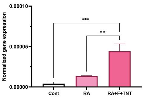 The Rt Qpcr Analysis Of Specific Oocyte Like Cell Marker Mvh Rt Qpcr