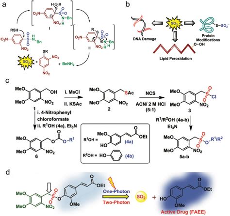 A Schematic Illustration Of The Mechanism Of Thiol Mediated So