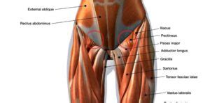 The Best Stretches To Relieve Tight Hips And Hamstrings