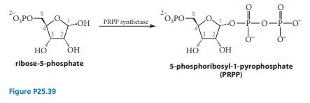 The Enzyme Phosphoribosyl Pyrophosphate Synthetase PRPP Syn Quizlet