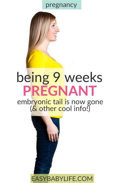 9 Weeks Pregnant Symptoms Fetal Development Belly Diary