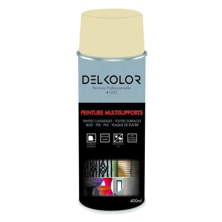 Peinture aérosol multisupport noir satin RAL 9005 400ml Delkolor Tout