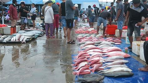 Detail Pasar Ikan Tradisional Koleksi Nomer 1