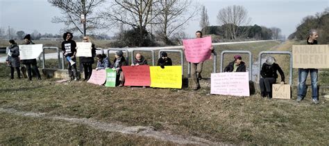 Foto Attivisti E Volontari Protestano In Difesa Dei Daini Di Classe E