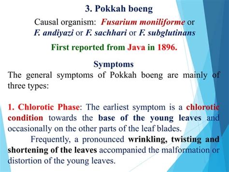 Diseases Of Sugarcane And Their Management Ppt