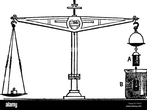 Principio Arquimedes Dibujo Imágenes Vectoriales De Stock Alamy