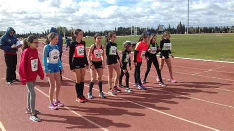 Nueve Medallas Para Los Canteranos Del Coda En El Provincial Y Un