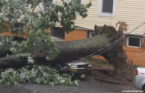 Strong Winds Down Trees Cause Power Outages In Paterson Paterson Times