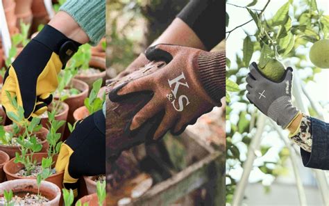 The Best Gardening Gloves Tried And Tested